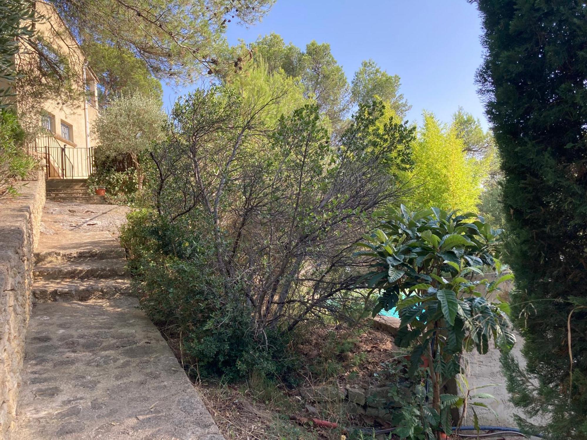 Le Gite Sous Les Pins Les Taillades Exterior foto